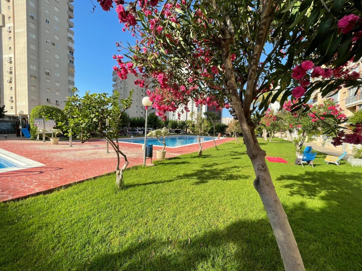 Beach Studio Apartment Hannibal La Cala Finestrat Benidorm Zewnętrze zdjęcie
